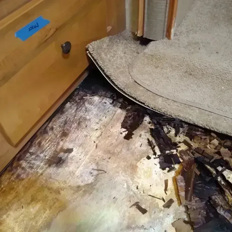 Wood Floor Water Damage in Keystone, CO